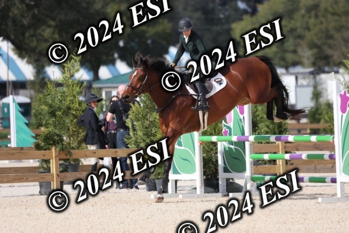 2120H8A9629