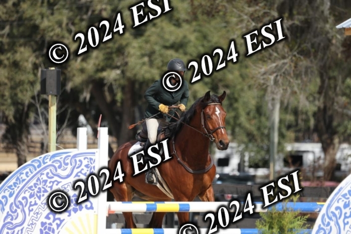2120H8A9638