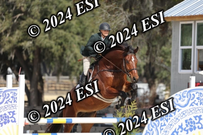 2120H8A9643