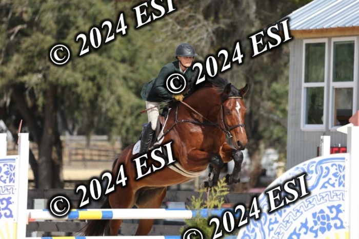 2120H8A9644