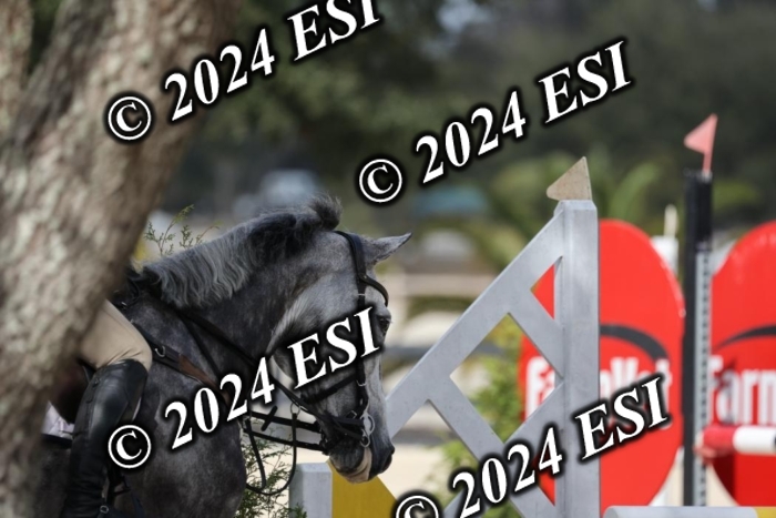2120H8A9694