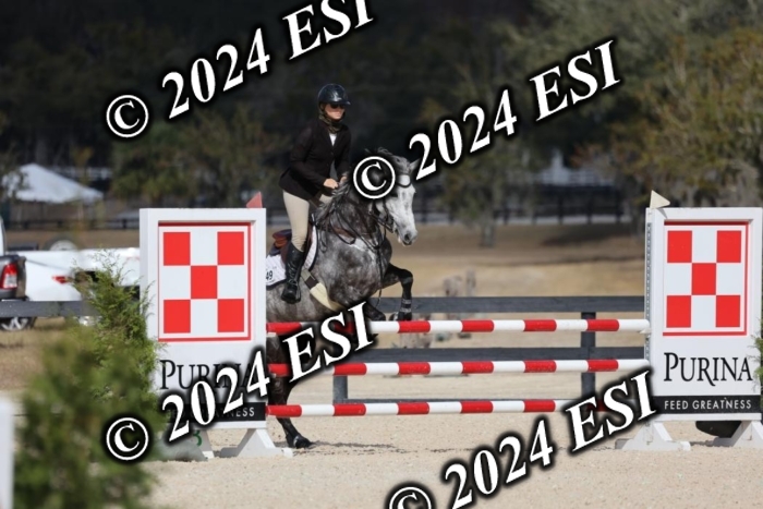 2120H8A9699