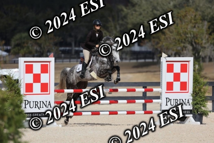 2120H8A9702