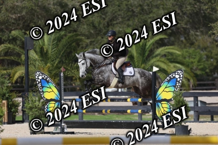2120H8A9719
