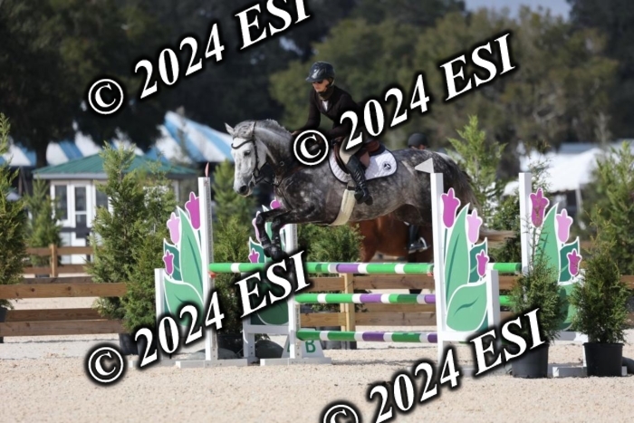 2120H8A9725
