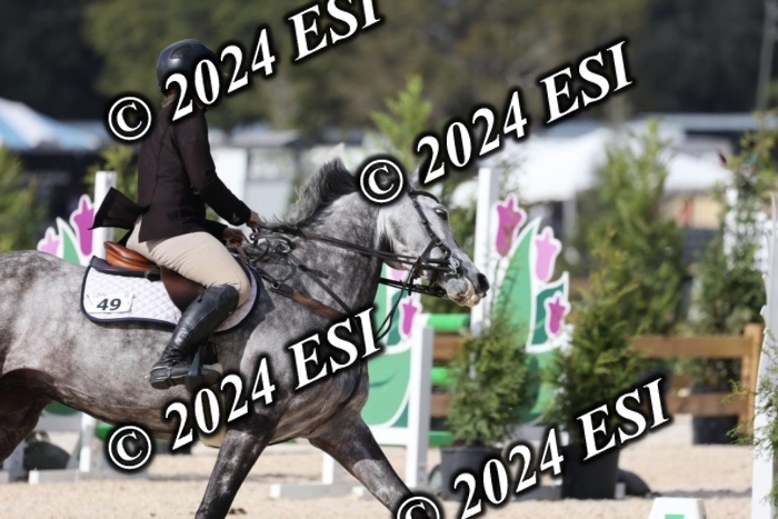 2120H8A9740