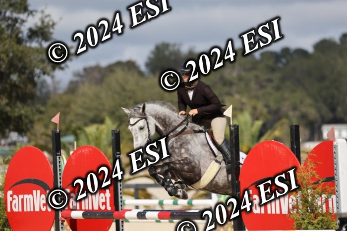 2120H8A9741