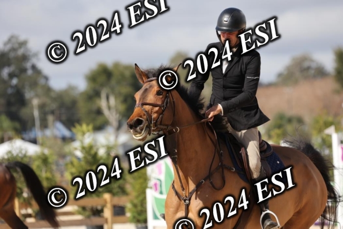 2120H8A9828