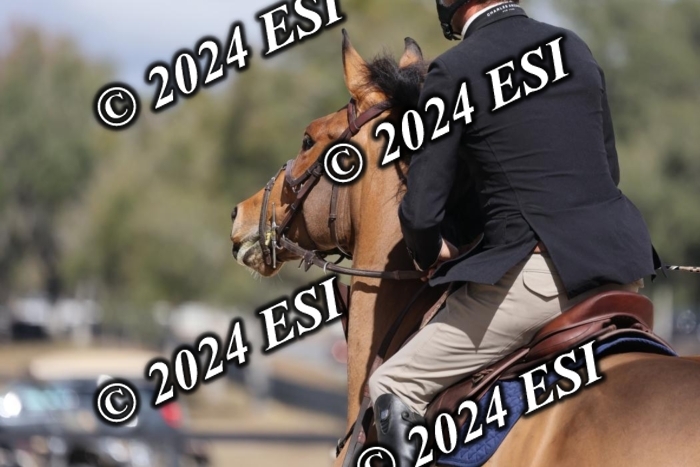 2120H8A9831
