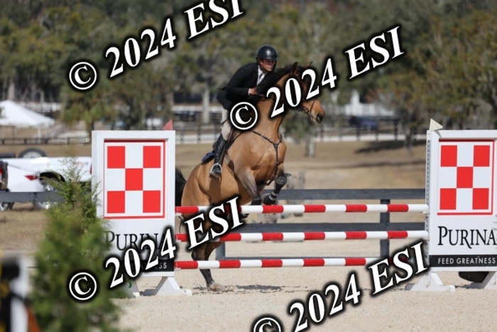 2120H8A9833