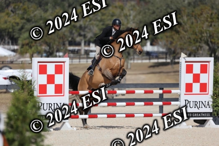2120H8A9834