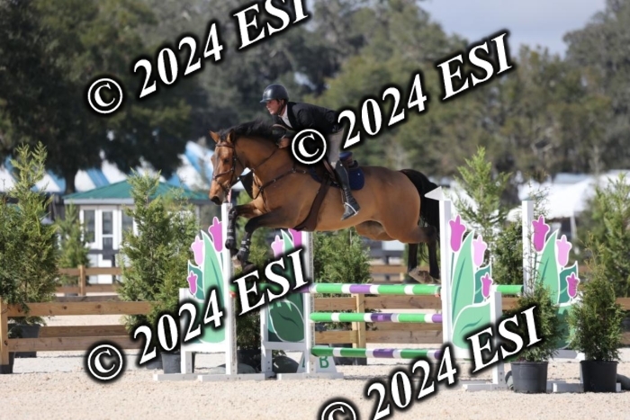 2120H8A9853