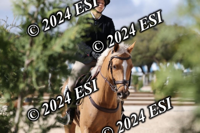 2120H8A9864