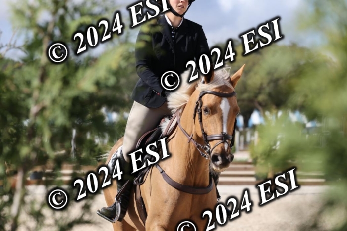 2120H8A9865