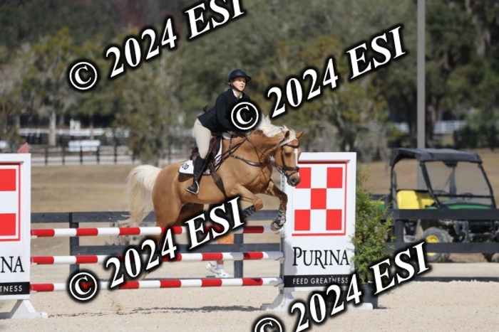 2120H8A9874