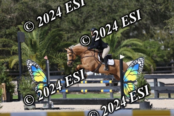2120H8A9887
