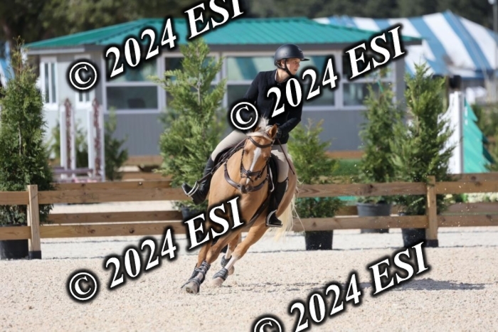 2120H8A9904