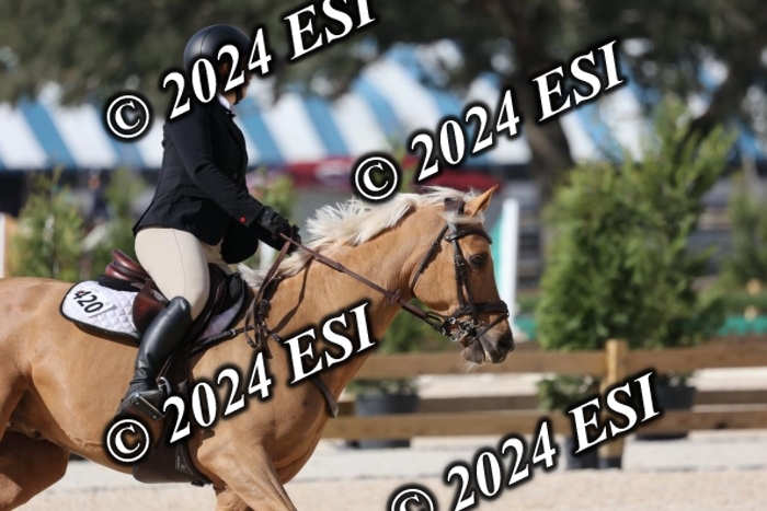 2120H8A9905