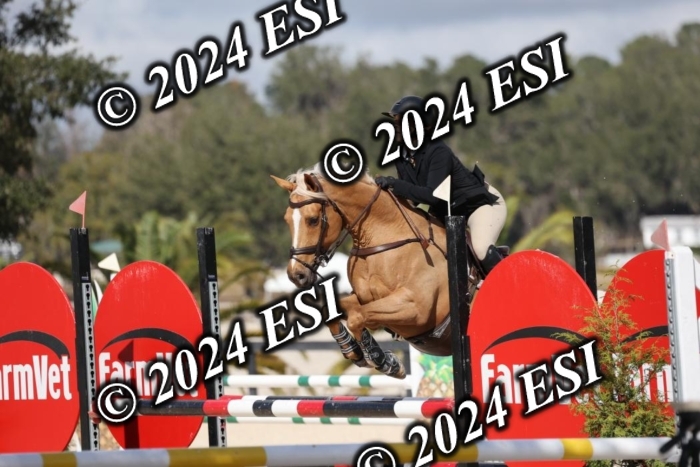 2120H8A9909