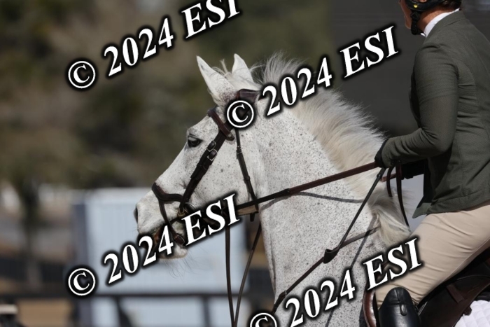 2120H8A9923