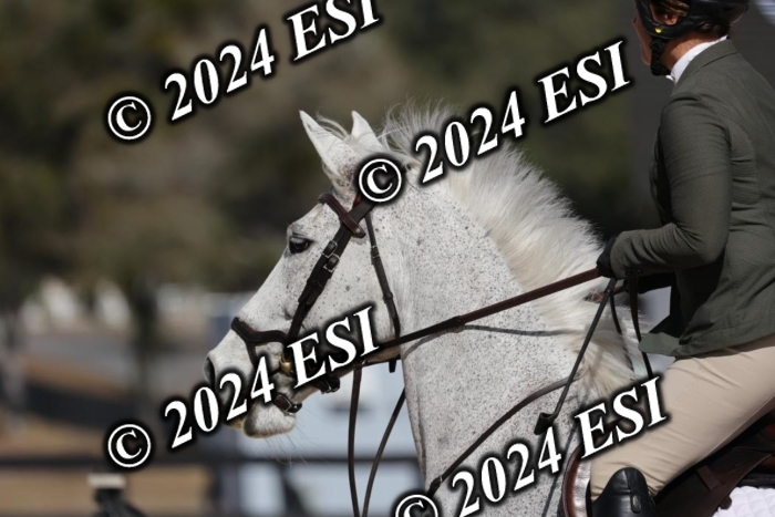 2120H8A9924