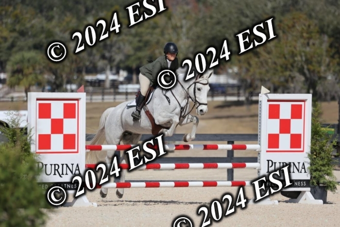 2120H8A9928