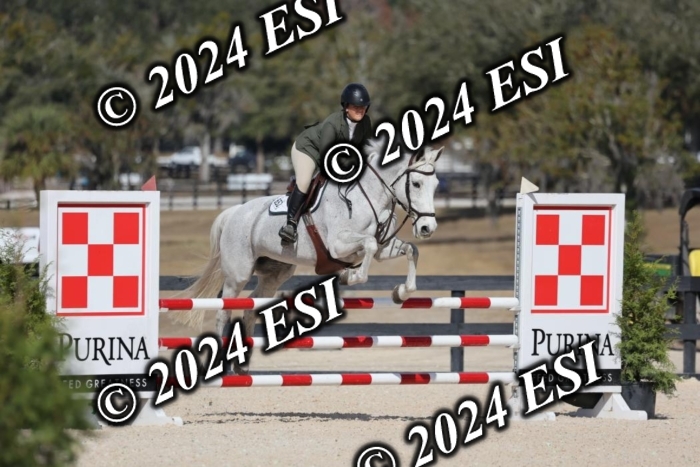 2120H8A9929