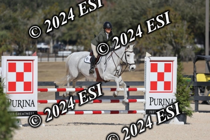 2120H8A9931
