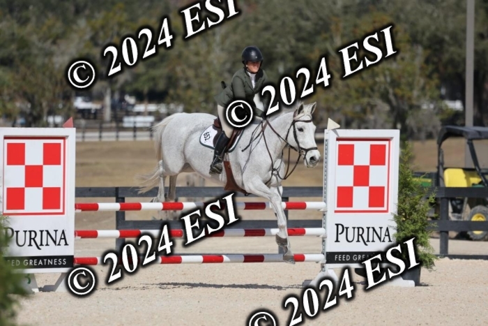 2120H8A9932