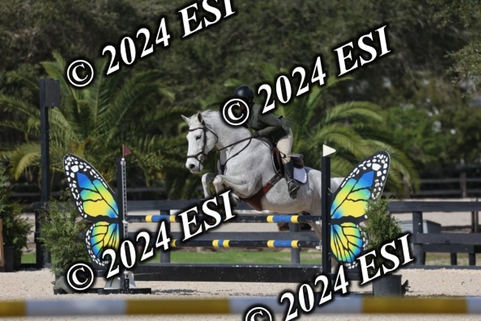 2120H8A9942