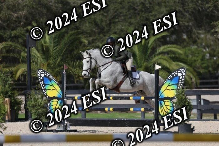 2120H8A9943