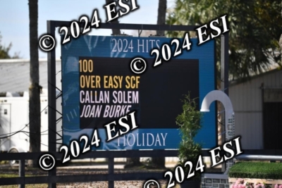 042CAH_0446