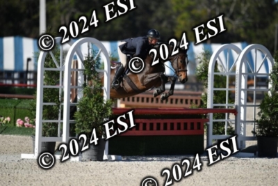 042CAH_0449