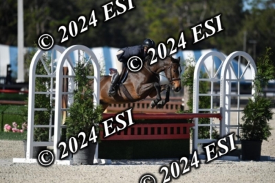 042CAH_0453