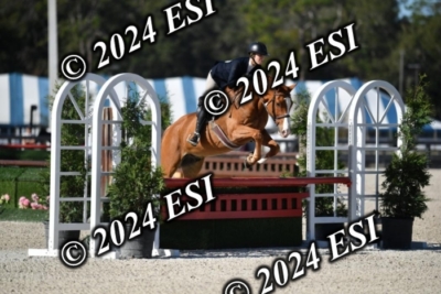 042CAH_0457