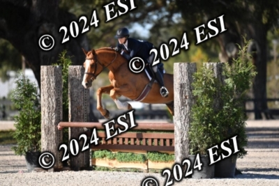 042CAH_0460