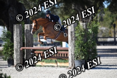 042CAH_0462