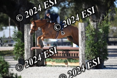 042CAH_0463