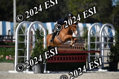042CAH_0464