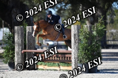 042CAH_0466