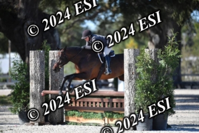 042CAH_0468