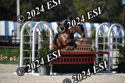 042CAH_0469