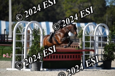 042CAH_0472