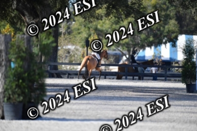 042CAH_0476