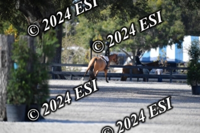 042CAH_0477