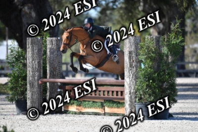 042CAH_0478