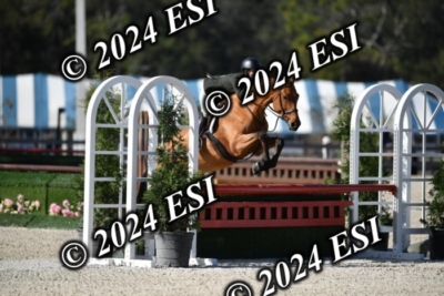 042CAH_0479