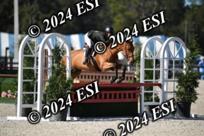 042CAH_0480