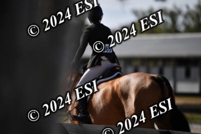 042CAH_0482