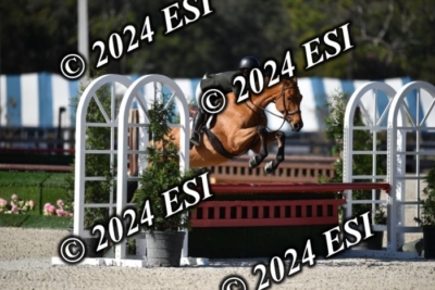 042CAH_0484